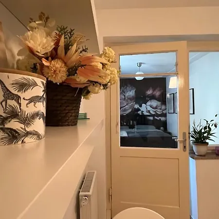 Designerwohnung Afrika Sehr Zentral Gelegen 汉诺威