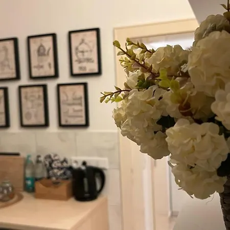 公寓 Designerwohnung Afrika Sehr Zentral Gelegen 汉诺威
