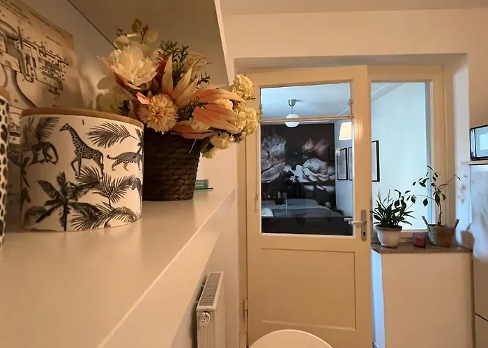 Designerwohnung Afrika Sehr Zentral Gelegen Hanôver